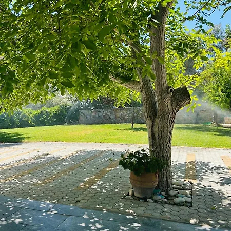 Chrisi - 500 Sqm Private Gardens & Nature View - 300m By The Sea *